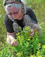 Seven Springs Speaker Spotlight: Linda Conroy, Herbalist Image